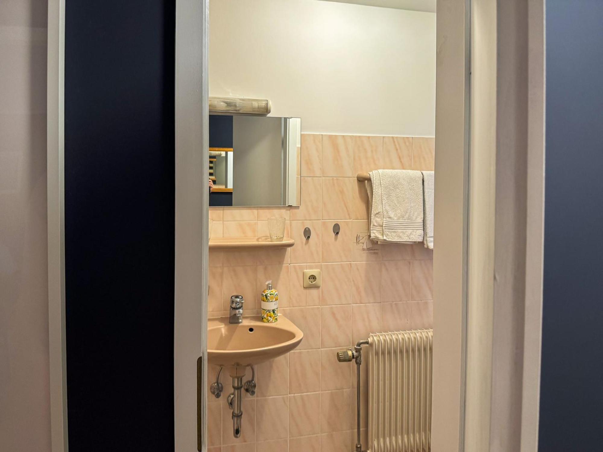 Apartment Parkplatz Garten Rad-Garage Freiburg im Breisgau Dış mekan fotoğraf
